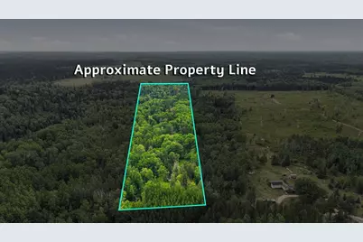 7961 Carpenter Road, Angora, MN 55703 - Photo 1