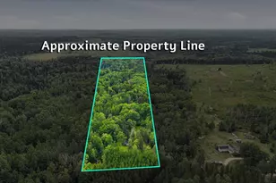 7961 Carpenter Rd, Angora, MN 55703 - Photo 1