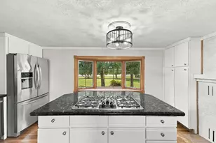 4423 Fawn Lake Dr NE, East Bethel, MN 55005 - Photo 39