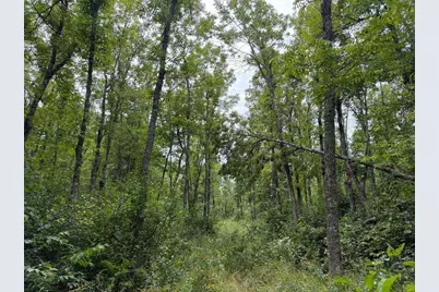 61710 Lower Tamarack Road, Bruno, MN 55712 - Photo 47