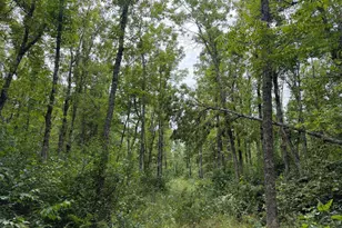 61710 Lower Tamarack Rd, Bruno, MN 55712 - Photo 47