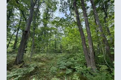61710 Lower Tamarack Road, Bruno, MN 55712 - Photo 33