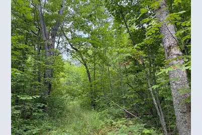 61710 Lower Tamarack Road, Bruno, MN 55712 - Photo 39