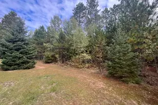 8924 Black Brook Rd, Webster, WI 54893 - Photo 29
