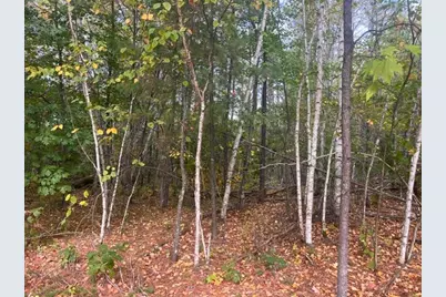 8924 Black Brook Road, Webster, WI 54893 - Photo 45