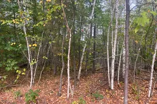 8924 Black Brook Rd, Webster, WI 54893 - Photo 45