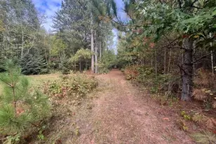 8924 Black Brook Rd, Webster, WI 54893 - Photo 3