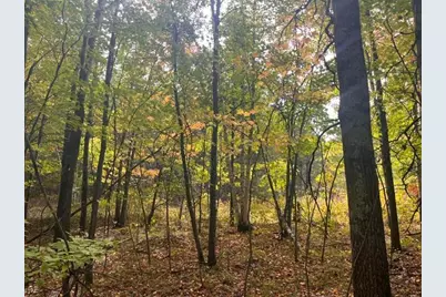 8924 Black Brook Road, Webster, WI 54893 - Photo 51