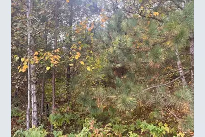 8924 Black Brook Road, Webster, WI 54893 - Photo 5