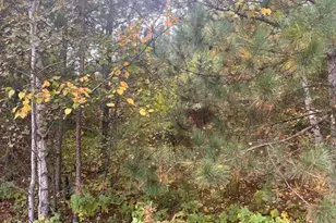 8924 Black Brook Rd, Webster, WI 54893 - Photo 5