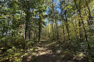 2764 320th Ave, Brook Park, MN 55007 - Photo 47
