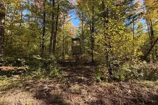 2764 320th Ave, Brook Park, MN 55007 - Photo 59