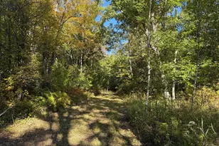 2764 320th Ave, Brook Park, MN 55007 - Photo 63