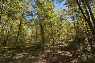 2764 320th Ave, Brook Park, MN 55007 - Photo 33