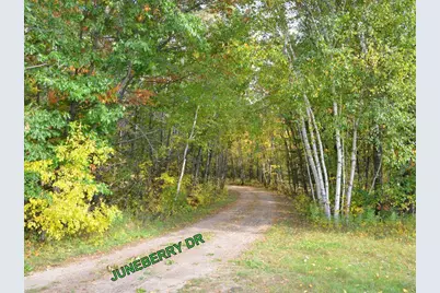 Tbd Juneberry Drive, Park Rapids, MN 56470 - Photo 9
