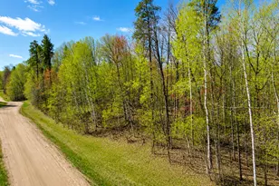 Tbd Raccoon and Flower Trail, Breezy Point, MN 56472 - Photo 1