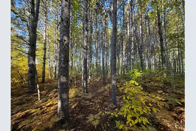 Xxx 540th Lane, Palisade, MN 56469 - Photo 23