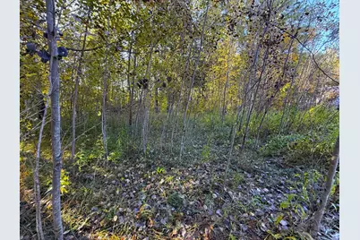 Xxx 540th Lane, Palisade, MN 56469 - Photo 47