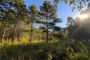 Xxx 540th Ln, Palisade, MN 56469 - Photo 1