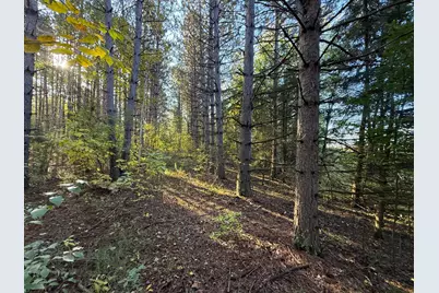 Xxx 540th Lane, Palisade, MN 56469 - Photo 11