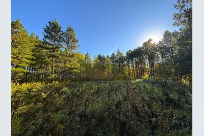 Xxx 540th Lane, Palisade, MN 56469 - Photo 17