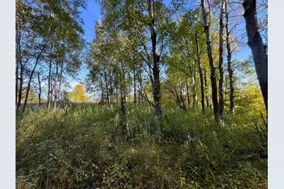 Xxx 540th Lane, Palisade, MN 56469 - Photo 27