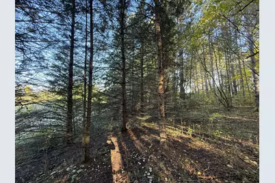 Xxx 540th Lane, Palisade, MN 56469 - Photo 37
