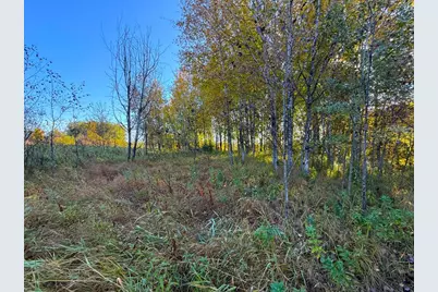 Xxx 540th Lane, Palisade, MN 56469 - Photo 7