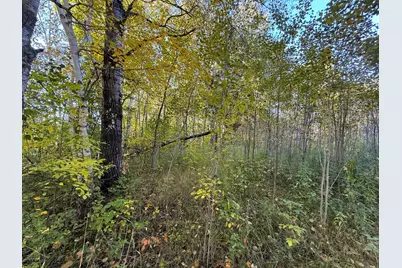 Xxx 540th Lane, Palisade, MN 56469 - Photo 39