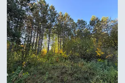Xxx 540th Lane, Palisade, MN 56469 - Photo 19