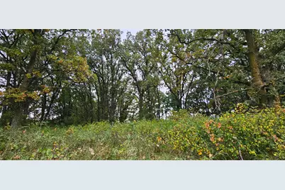 Tbd County Highway 127, Ottertail, MN 56571 - Photo 5