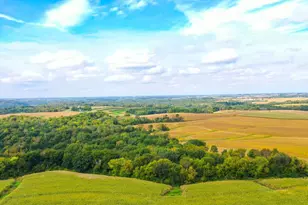 Tbd Dump Hill, Rushford, MN 55971 - Photo 1