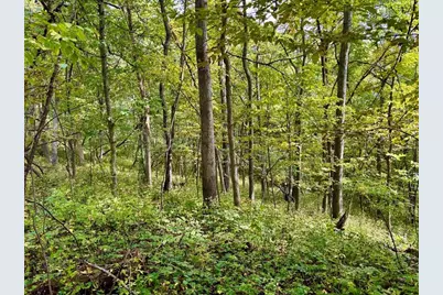 Tbd Dump Hill, Rushford, MN 55971 - Photo 35