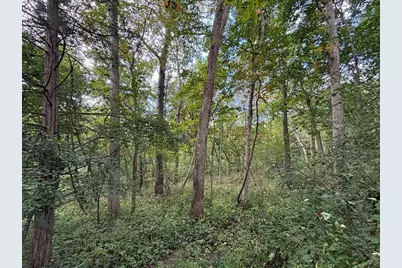 Tbd Dump Hill, Rushford, MN 55971 - Photo 45
