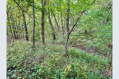 Tbd Dump Hill, Rushford, MN 55971 - Photo 21