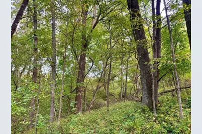 Tbd Dump Hill, Rushford, MN 55971 - Photo 51