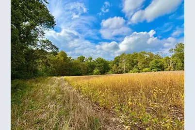 Tbd Dump Hill, Rushford, MN 55971 - Photo 27