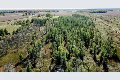 40939 Cr-75, Bertha, MN 56437 - Photo 3