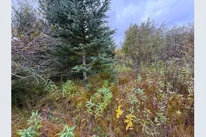 Tbd 360th Street, Onamia, MN 56359 - Photo 19