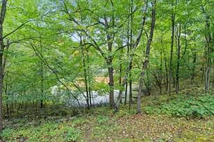 16090 Morgan Ave N, Marine on Saint Croix, MN 55047 - Photo 63
