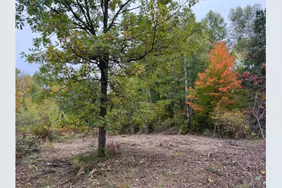 51315 Sand Creek Rd, Bruno, MN 55712 - Photo 3