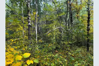 4558 Angelas Drive, Pine River, MN 56474 - Photo 85