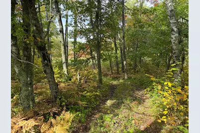 4558 Angelas Drive, Pine River, MN 56474 - Photo 25