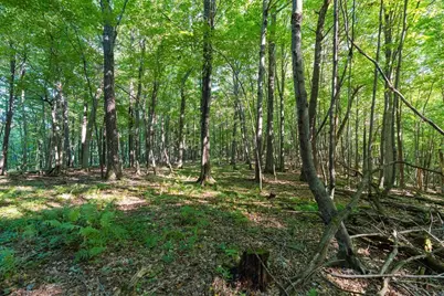 0 815th Avenue, Menomonie, WI 54751 - Photo 43