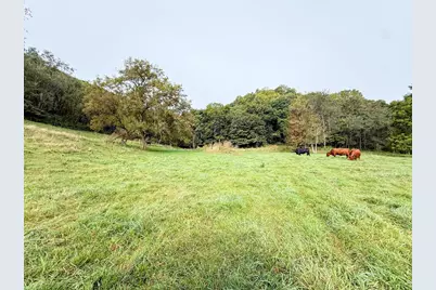 9516 County 4, Houston, MN 55943 - Photo 57