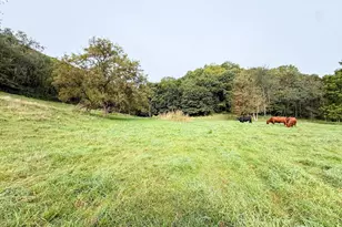 9516 County 4, Houston, MN 55943 - Photo 57