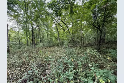 9516 County 4, Houston, MN 55943 - Photo 59