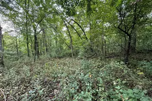 9516 County 4, Houston, MN 55943 - Photo 59