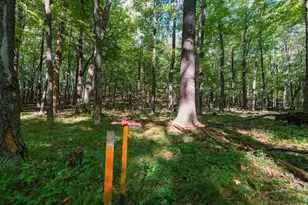 Lot3 815th Ave, Menomonie, WI 54751 - Photo 1
