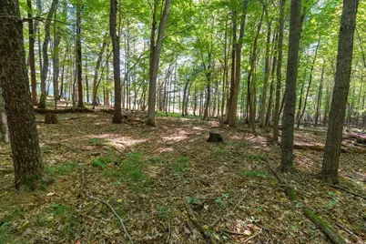 Lot7 815th Avenue, Menomonie, WI 54751 - Photo 9